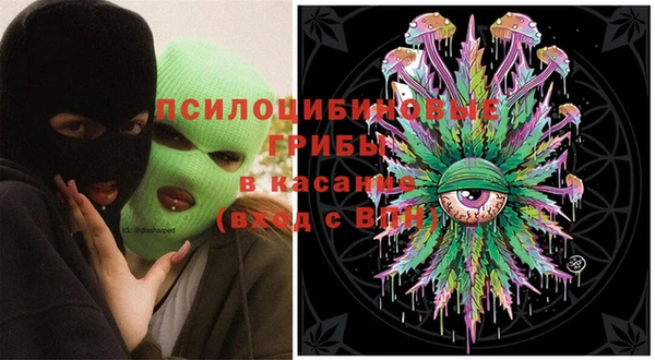 молекула духа Абинск