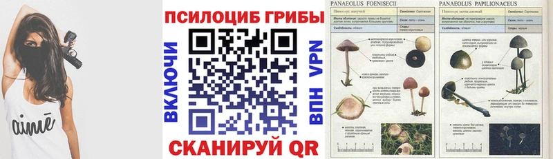 Псилоцибиновые грибы прущие грибы  Орск 
